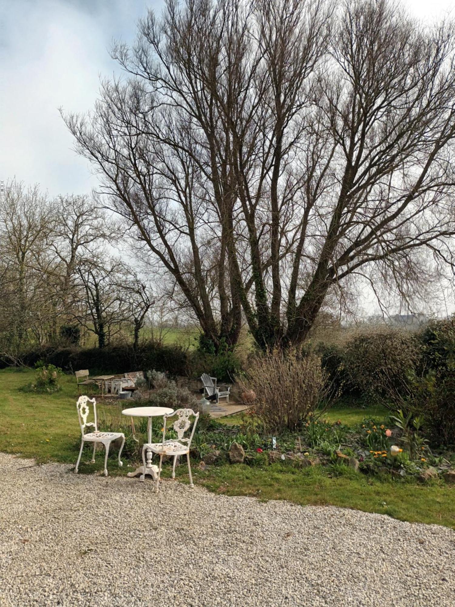 Au Domaine De Sophie Chambres D'Hotes Crasville  Exterior photo